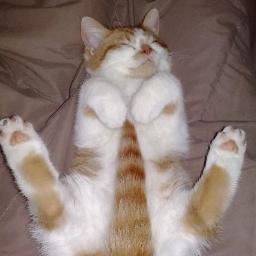 Hepcatsmkt's profile picture. 