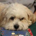 Debbi Giroux - @DebbiAnneWalton - Twitter