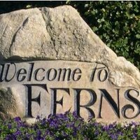 Ferns - Fearna Mór (@fearna_mor) 's Twitter Profile