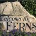 Ferns - Fearna Mór (@fearna_mor) Twitter profile photo Ferns - Fearna Mór (@fearna_mor) Twitter profile photo