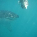 M Higgins - @MarkHiggins3 - Twitter