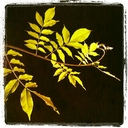 Matt Whitmore - @whitmare - Twitter