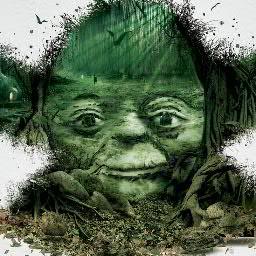 Lilypoppy28's profile picture. Twitter Padawan