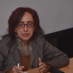 Professor, English & Comparative Literature, Cairo U; Director, Graduate Program, Kuwait U; Advisory Board CLCWeb; ICLA