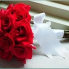 TudoCasamentos1's profile picture. Temos um site especializado em casamentos. Encontrará vestidos, bouquet, buffet, bolos, topos de bolo, enxovais, lingeries, lua de mel, alianças, SPA, acessório