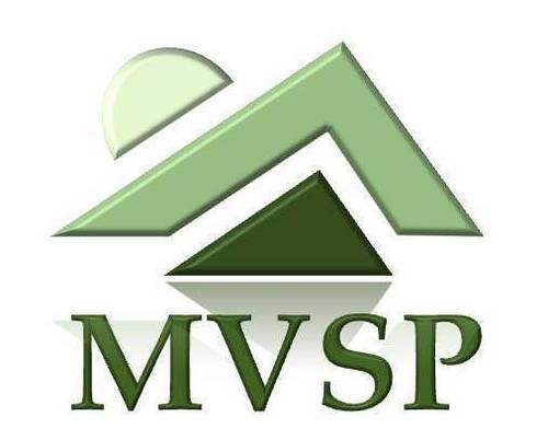 SalesMvsp's profile picture. MVSP is an Executive Search firm focused on placing Sales Professionals in the greater Boston area. #careerboston #software #salesplacement #IT #technology