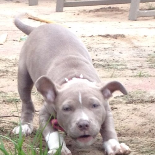 raw_go's profile picture. 