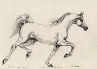 Watch stunning pencil drawings by a girl trying to make it count, you could also request a drawing about something that you like and see it realistically drawn!