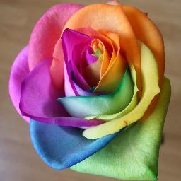 0kekka0's profile picture. ho l'anima di un fiore e una gran testa di c***o!