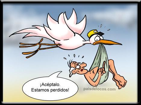 Los mejores y chistes y buen humor, sigo a los que me siguen