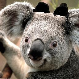 MinTilt's profile picture. Traveling blacksmith, Also Yordle. RP. I make the finest armor in Valoran