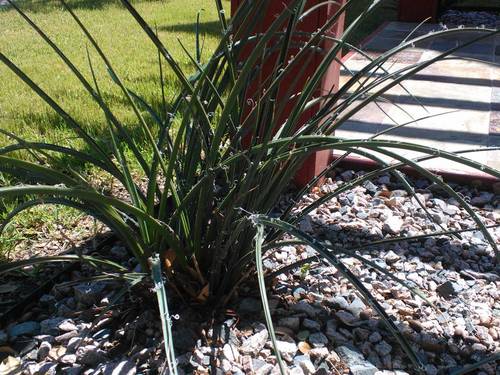 Oh_Hei's profile picture. #WearARespirator #N95 😷 Please!  Vaccines and Boosters aren't enough.