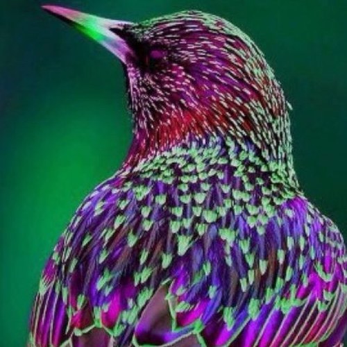 ربي إجعل أبي وأمي سعيدين الدارين قريرين العينين لا يشكيان هم ولا حزن ولا مرض❤️ ❤️