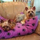 Kim Orr - @kimbaunc - Twitter