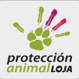 Somos una Fundación privada apolítica, arreligiosa y sin fines de lucro. Su objetivo generar es fomentar respeto, valores y ética, en el trato a los animales