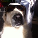 Mark Vaught - @mark_vaught - Twitter