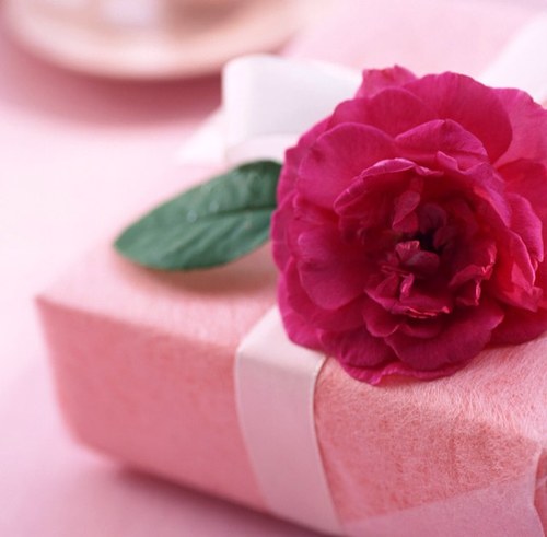 khokha4u's profile picture. 