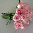 Shirley Jacques - @ShirleyCJacques - Twitter