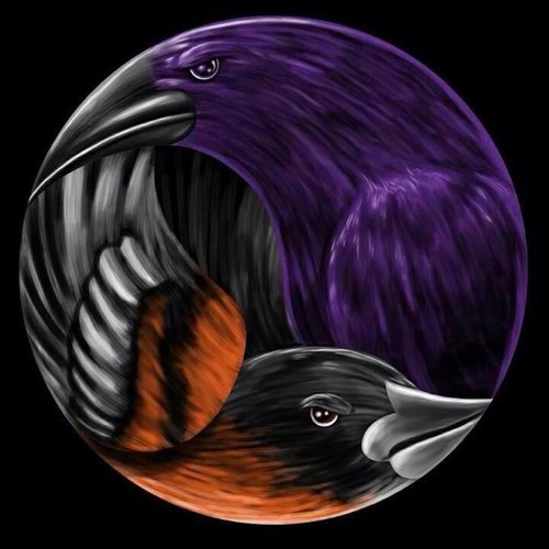 bmoreravensball's profile picture. 
