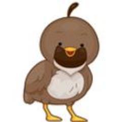 CPSD_Discovery's profile picture. 