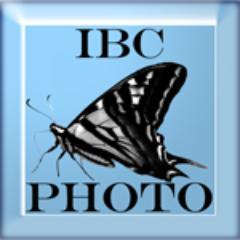 An #OrangeCounty #photographer for premium #photography services: #promotional #wedding #engagement #maternity #newborn #boudoir #executive #sports #band