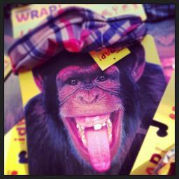 wrapsport's profile picture. 