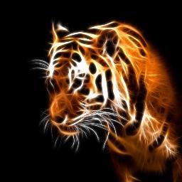 Wendyl922's profile picture. 