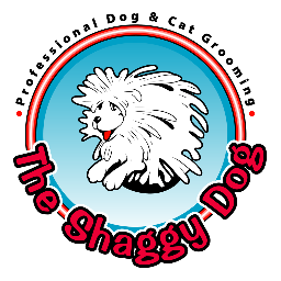 The Shaggy Dog has been in business in the same location servicing the Lake Worth area for 15 years. All of our groomers have over twenty years of experience.
