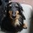 atsu8305's profile image