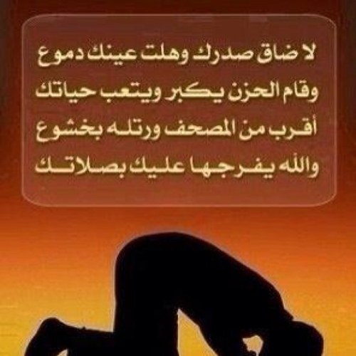 almsody220's profile picture. 