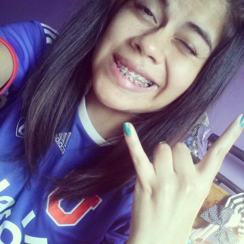 16. hincha de la Universidad de Chile.
