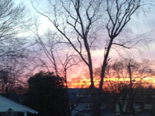 regina_center's profile picture. 