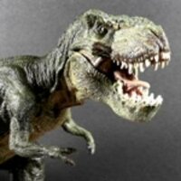 Leslie Mess - @WestminsterTRex Twitter Profile Photo