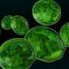 Cavife12's profile picture. 