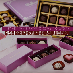 쇼핑몰 큐레이터 / 회사 브랜드 소개 및 상품소개
라온티켓에서 공연/뮤지컬/연극 티켓을 구매하세요!!
현재 이벤트중입니다. 제주도 펜션 2박3일의 행운을 찾으세요~