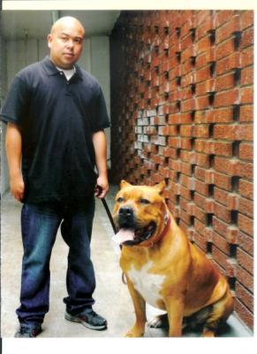 IAMDOGTRAINER's profile picture. Internationally known & locally Respected Dog Trainer/Educator/Nutritionist/Author/Future Host of My Own Show & most importantly Father to my kids!