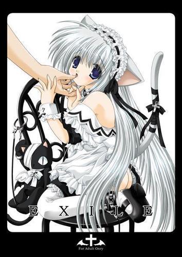 (18)(Female) Sister @_SilverRuby_ any thang Meow;) Neko RP18+ Pet Of @FallenTac