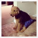 Ryan Lehr - @King86RL - Twitter