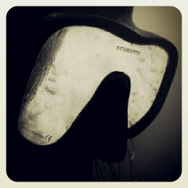 gusfotosub's profile picture. Dive master .fotografo submarino. turismo charters morrocoy .soporte tecnico epson hp