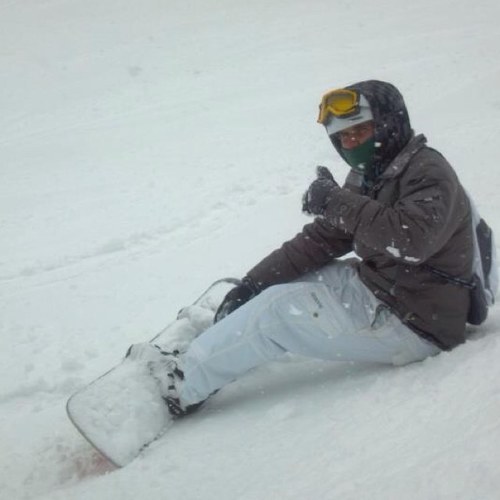 vdubmasters's profile picture. 