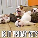 Michelle Bourg - @rebelmom66 - Twitter