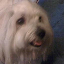 Love my family, wonderful friends and critters.
