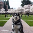 Greg Grady - @GMGrady - Twitter