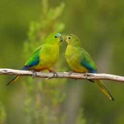 carmenriya's profile picture. 