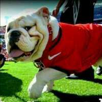 LuvFlipFlops388's profile picture. 