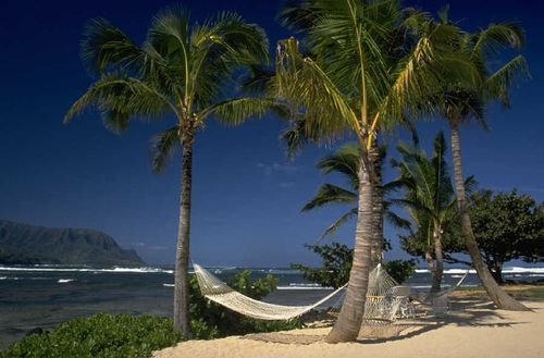 brian22ger's profile picture. Making life full of possiWatch repairerbilities.