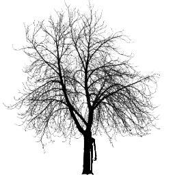 Posting recent and known photos of Slender man.