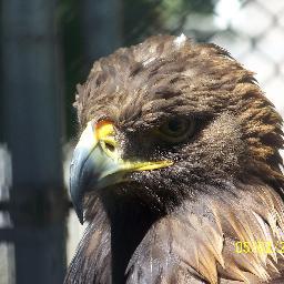 RudyValais's profile picture. 