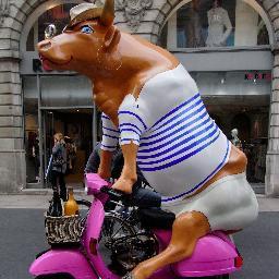 Meuhog's profile picture. 