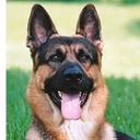 Frank Guarnieri - @Frankie82G - Twitter